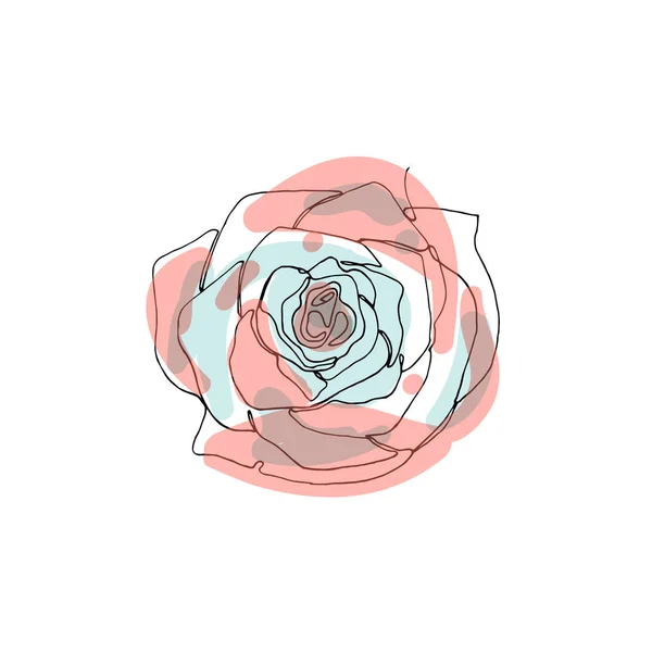 Handgezeichnete Rosenblume, eine einzige durchgehende Linienzeichnung. — Stockvektor