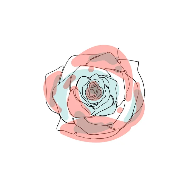 Flor de rosa dibujada a mano, un solo dibujo de línea continua . — Archivo Imágenes Vectoriales