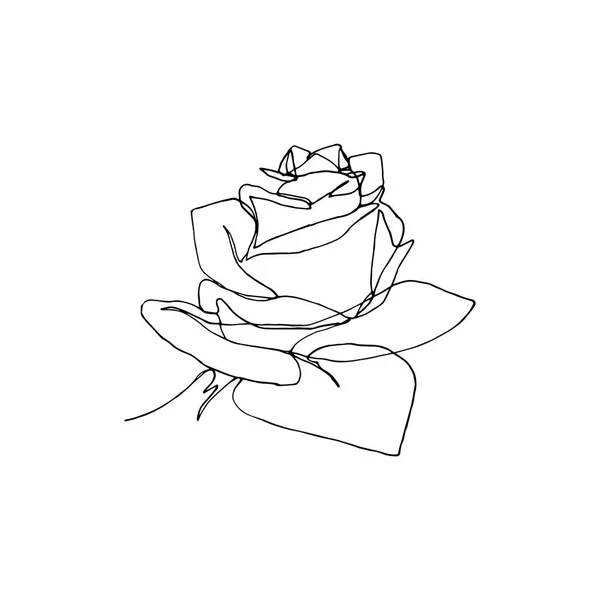 Handgezeichnete Rosenblume, eine einzige durchgehende Linienzeichnung. — Stockvektor