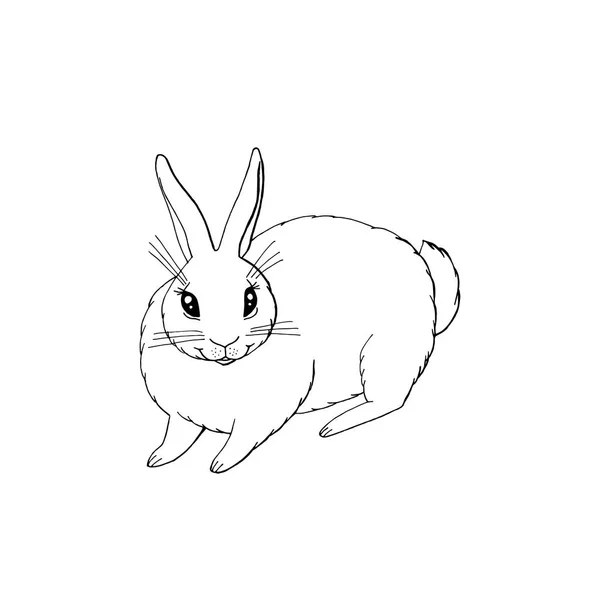 Cute śmieszne zwierzę króliczka siedzi. izolowane na białym tle. — Wektor stockowy