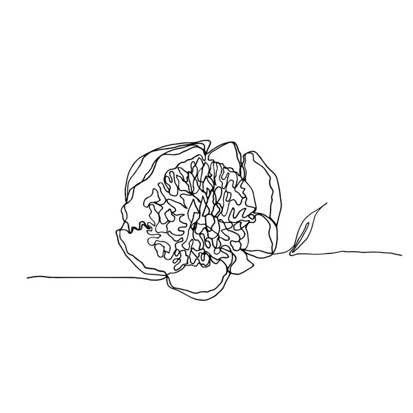 Handgezeichnete minimalistische Pfingstrosenblume, eine einzige durchgehende Blume — Stockvektor