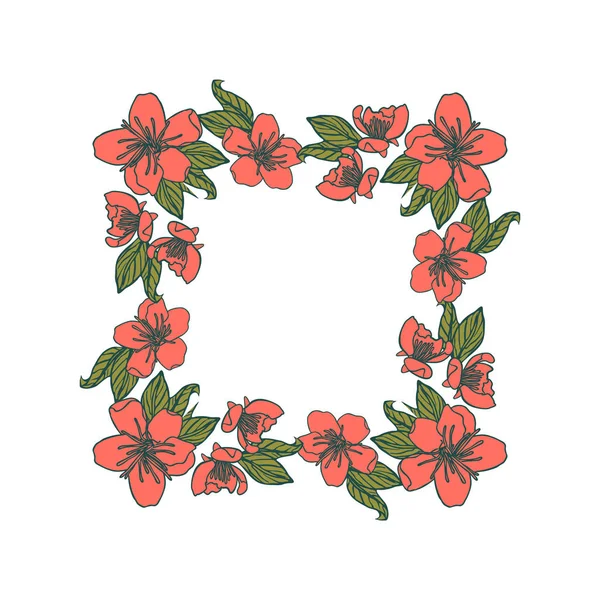 Květinový design prvek věnec z třešňových květů, izolované na wh — Stockový vektor