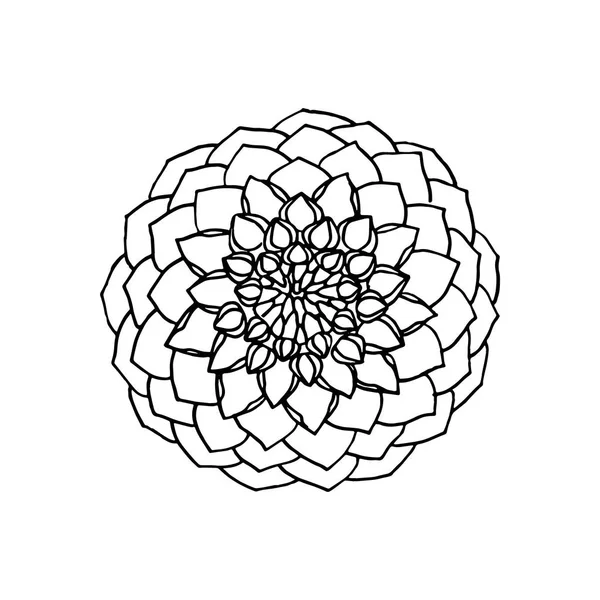 Fleur de dahlia dessinée à la main. élément de design floral — Image vectorielle