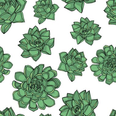 Ortak houseleek ile el çizilmiş doodle tarzı dikişsiz desen, 