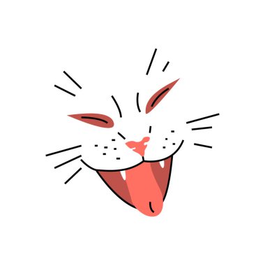 düz izole 2000x2000 kw