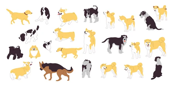 Σετ από διαφορετικά σκυλιά. Μεγάλη συλλογή από φυλές σκύλων. Απομονωμένη σε — Διανυσματικό Αρχείο
