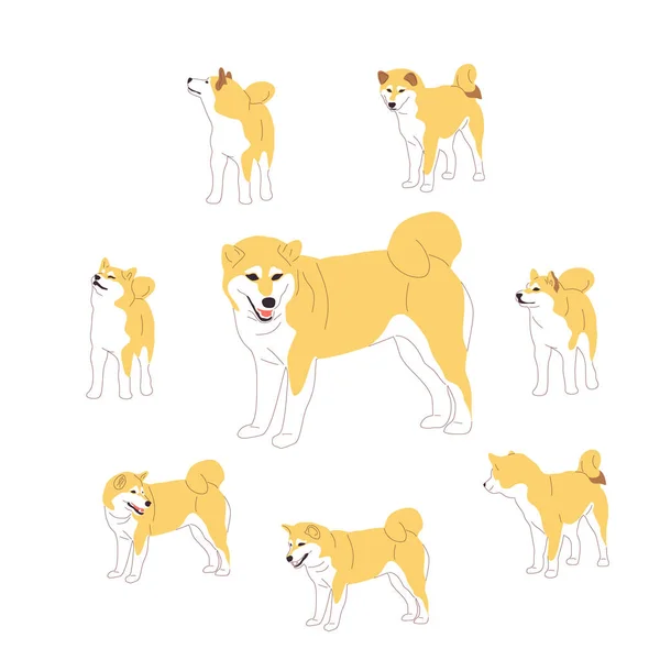 Juego de perros shiba inu. Aislado sobre fondo blanco. Estilo plano — Archivo Imágenes Vectoriales