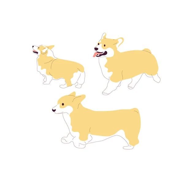 Conjunto de cães corgi. Isolado em fundo branco. Carrinho de estilo plano — Vetor de Stock