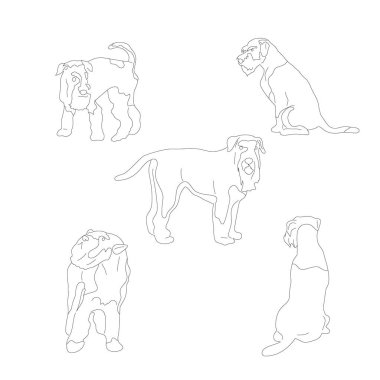 Terrier köpek seti, köpek pozlar koleksiyonu. Beyaz arka planda izole edilmiş. Düz stil karikatür stok vektör