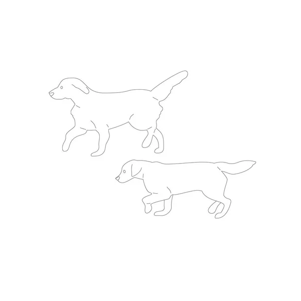 Set of two walking labrador retriever dogs. Isolated on white background. Flat style cartoon stock vector — Stock Vector