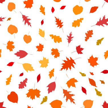 Renkli, pürüzsüz bir desen. Sonbahar yaprakları beyaz bir sırtta.
