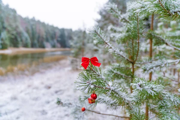 Decorazione natalizia palline rosse appese al ramo di abete rosso, pino sotto la neve — Foto Stock