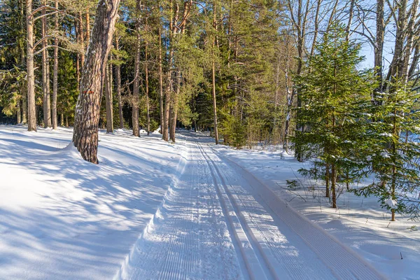 Skipiste im Schnee im Wald an sonnigem Tag. — Stockfoto