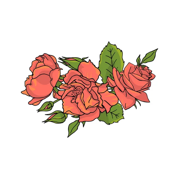 Arrangement Fleurs Roses Dessinées Main Élément Design Floral Isolé Sur — Image vectorielle
