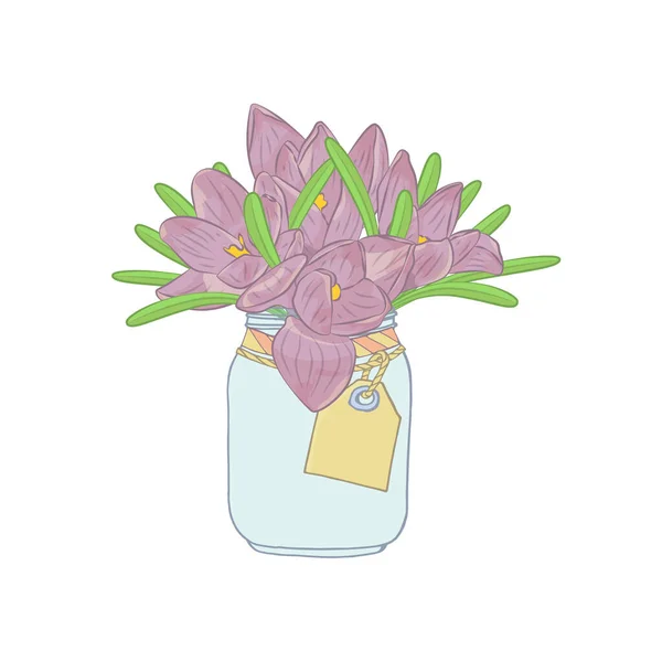 Handgezeichnete Krokusblüten Einmachglas Cliparts Florales Design Element Vereinzelt Auf Weißem — Stockvektor