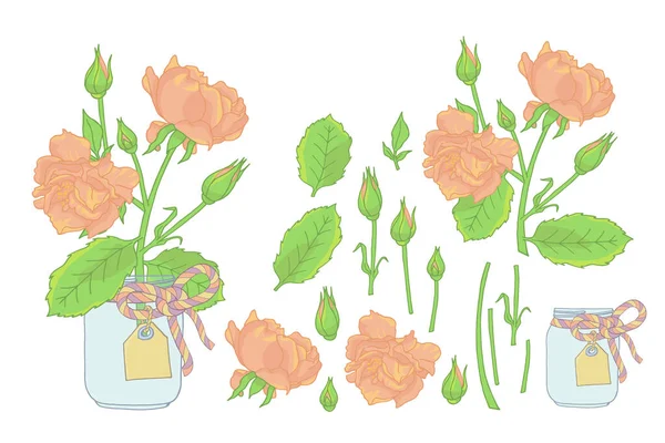 Håndtegnede Rosenblomster Murerkrukke Clipart Sæt Blomstermotiv Element Isoleret Hvid Baggrund – Stock-vektor