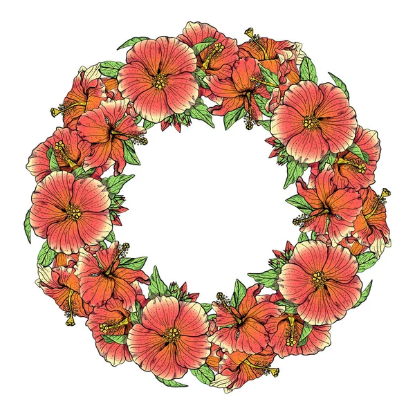 手描きピンクハイビスカスの花円形の花輪。花のデザイン要素。白い背景に隔離されている。ベクトル — ストックベクタ