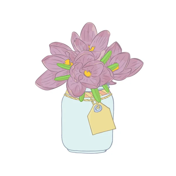 Kézzel rajzolt crocus virágok kőműves üveg előfizetői. Virágos design elem. Elszigetelve, fehér háttérrel. Vektor — Stock Vector
