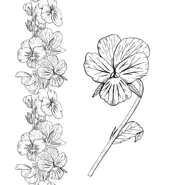 Met Hand Getrokken Monochrome Pansy Bloemen Naadloze Borstel Bloemen Eindeloze — Stockvector