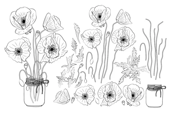 Flores Amapola Dibujadas Mano Frasco Albañil Clipart Conjunto Monocromo Elemento — Archivo Imágenes Vectoriales