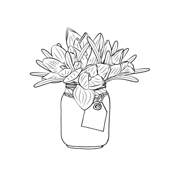 Fleurs Crocus Monochromes Dessinées Main Pot Maçon Clipart Élément Design — Image vectorielle