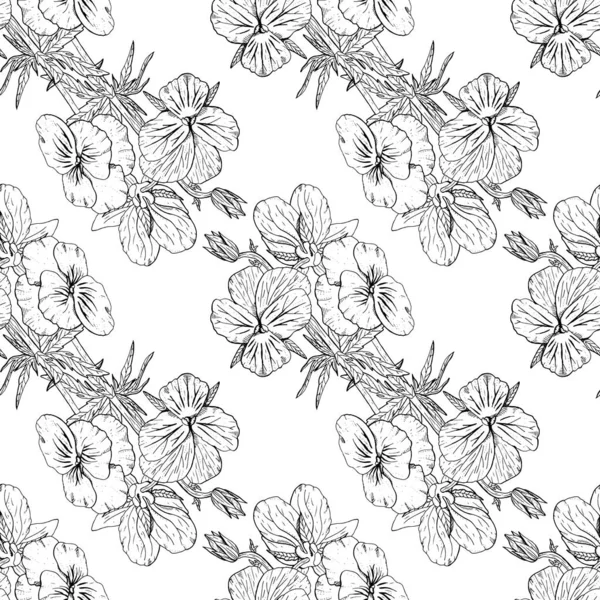Enfärgad blommig sömlös mönster med handritade pansy blommor på vit bakgrund. Beståndsvektor — Stock vektor