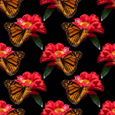 Kırmızı şakayık çiçekleri ve siyah arka planda kral kelebekleri kolajlı renksiz desenler. Stok illüstrasyonu.