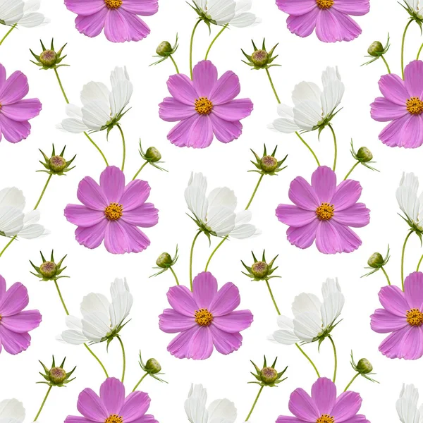 Padrão Sem Costura Floral Colorido Com Colagem Flores Cosmos Rosa — Fotografia de Stock