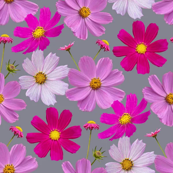 Цветочный Бесшовный Узор Коллажем Цветов Космоса Сером Фоне Иллюстрация — стоковое фото