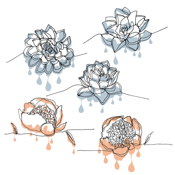 Handgezeichnet Eine Linie Zeichnung Saftigen Cliparts Florales Design Element Vereinzelt — Stockvektor