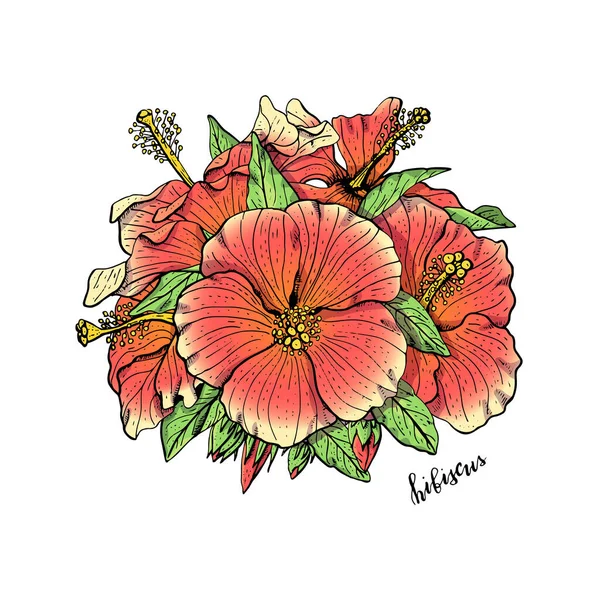 Met Hand Getekend Rood Hibiscus Bloemen Arrangement Bloemen Ontwerp Element — Stockvector