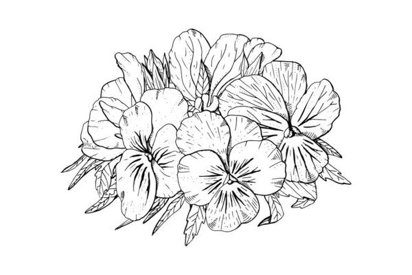 Mano monocromo dibujado pansy flores clipart. Elemento de diseño floral. Aislado sobre fondo blanco. Vector — Vector de stock