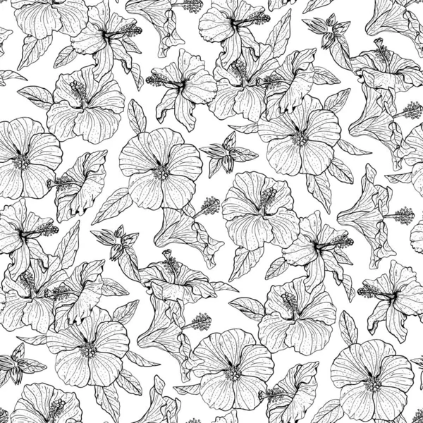 Černobílý květinový bezešvý vzor s ručně kreslenými květy ibišku na bílém pozadí. Skladový vektor — Stockový vektor