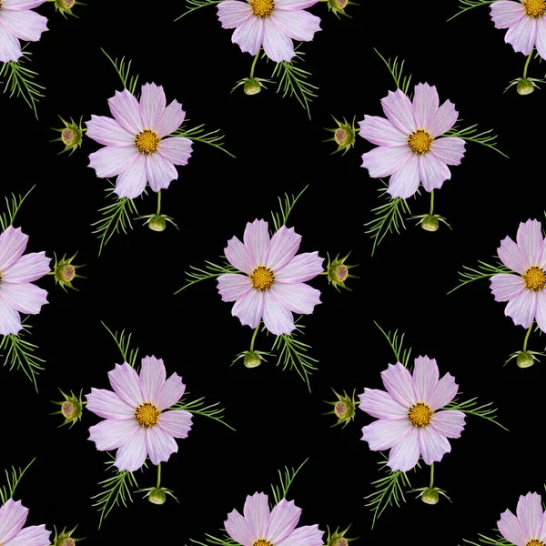 Padrão Sem Costura Floral Colorido Com Colagem Flores Cosmos Fundo — Fotografia de Stock