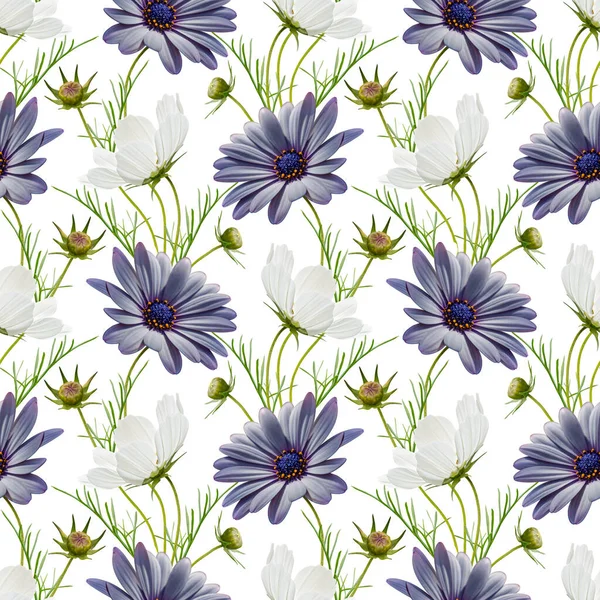 Colorful floral seamless pattern with white cosmos and blue daisy flowers collage on white background. Stock illustration.