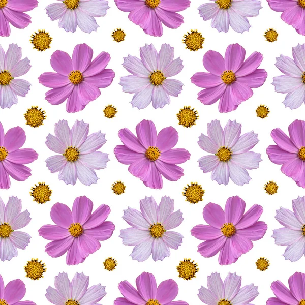 Patrón Inconsútil Floral Colorido Con Flores Cosmos Rosados Collage Sobre — Foto de Stock