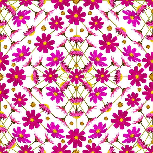 Colorful floral seamless pattern with pink cosmos flowers collage on white background. Stock illustration.