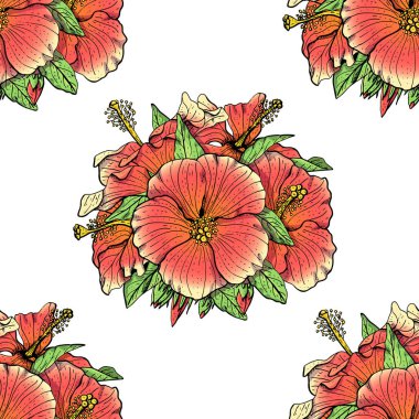 Beyaz arka planda pembe amber çiçekleri çizilmiş renksiz çiçek deseni. Stok vektörü