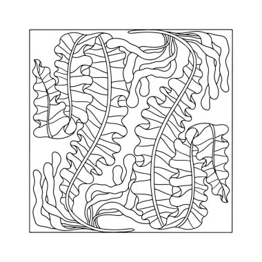 Art Nouveau tarzı deniz yosunu el çizimi tek renkli kitap sayfası çizimi. Klasik siyah ve beyaz mürekkep çizgisi soyut yosun tasarımı çiziyor.