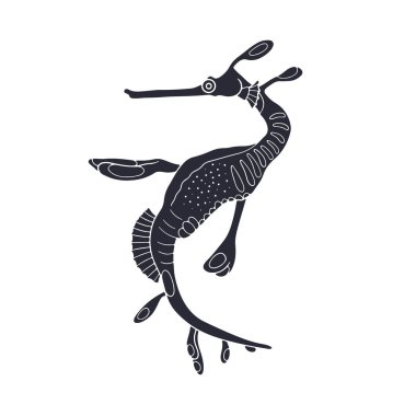 El çizimi, yaygın Seadragon siyah siluet vektör çizimi. Tek renkli mürekkep okyanus yaban hayatının bir parçası..