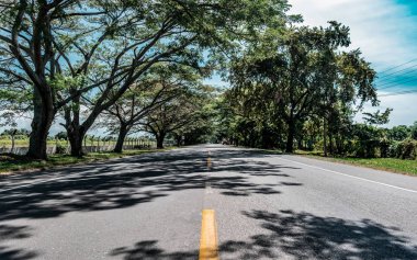 Beautiful fragment of the Ibague Espinal road with trees clipart