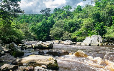 Pandi A'dan geçen Sumapaz nehrinin alçak seyri