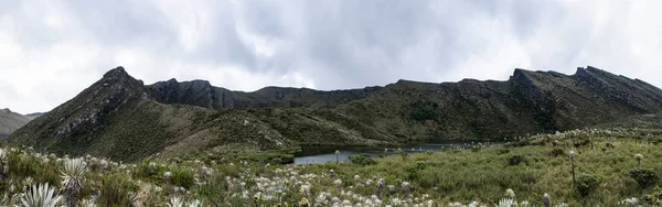 Chingaza paramo D Siecha lagün Sektörü