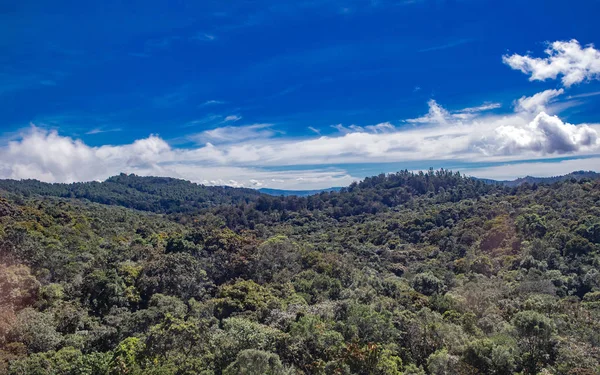 Небо над зеленой зоной в горах Медельина — стоковое фото