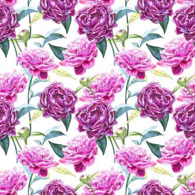 Şakayık çiçekleri ile sorunsuz arka plan. Sulu boya resim. Grafik el çekilmiş çiçek desenli. Tekstil kumaş tasarım.