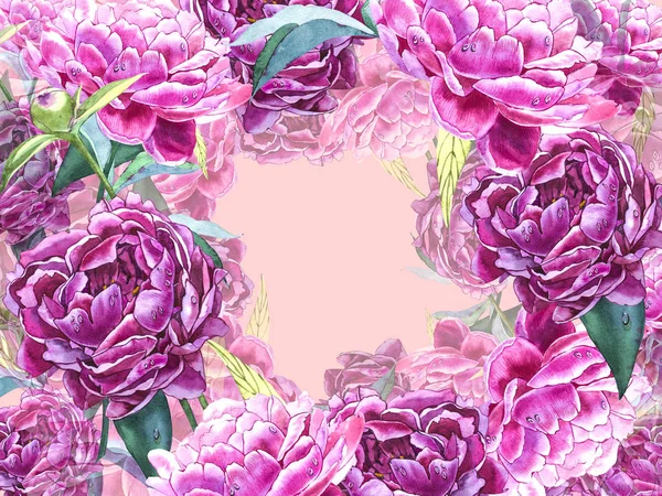 Natural pink peony background. Frame of red and pink peony, watercolor illustration. — Stock Photo, Image