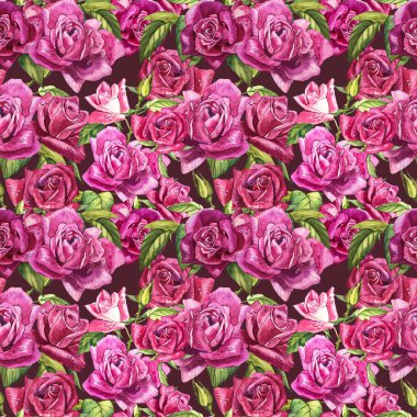 Doğal Pembe gül arka plan. Kırmızı ve pembe gül, suluboya resim seamless modeli.