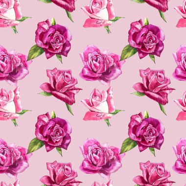 Doğal Pembe gül arka plan. Kırmızı ve pembe gül, suluboya resim seamless modeli.