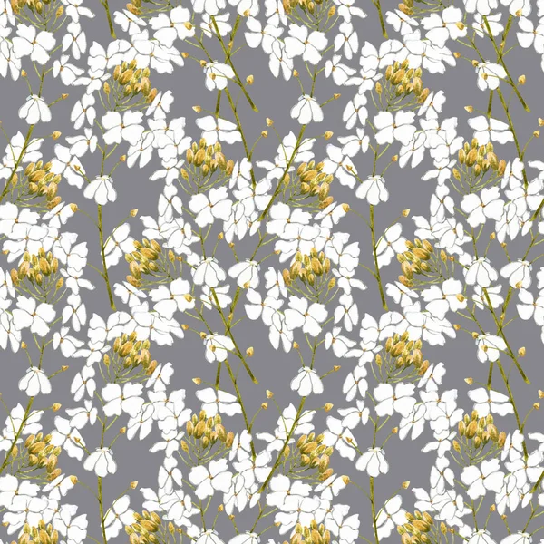 Watercolor horseradish flowers. Seamless pattern. Botanical illustration of organic, eco plant. Illustration For Food Design. — Stock Photo, Image