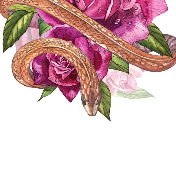 Snake with beautiful garden roses. Compositions of red and pink roses, watercolor illustration. Printing use t-shirt. — Stock Photo, Image